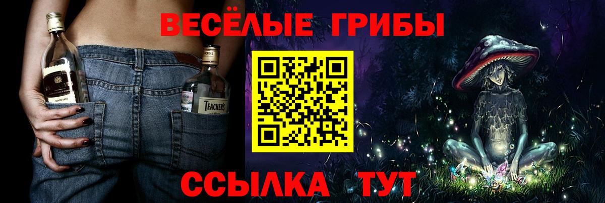 Псилоцибиновые грибы GOLDEN TEACHER Кингисепп
